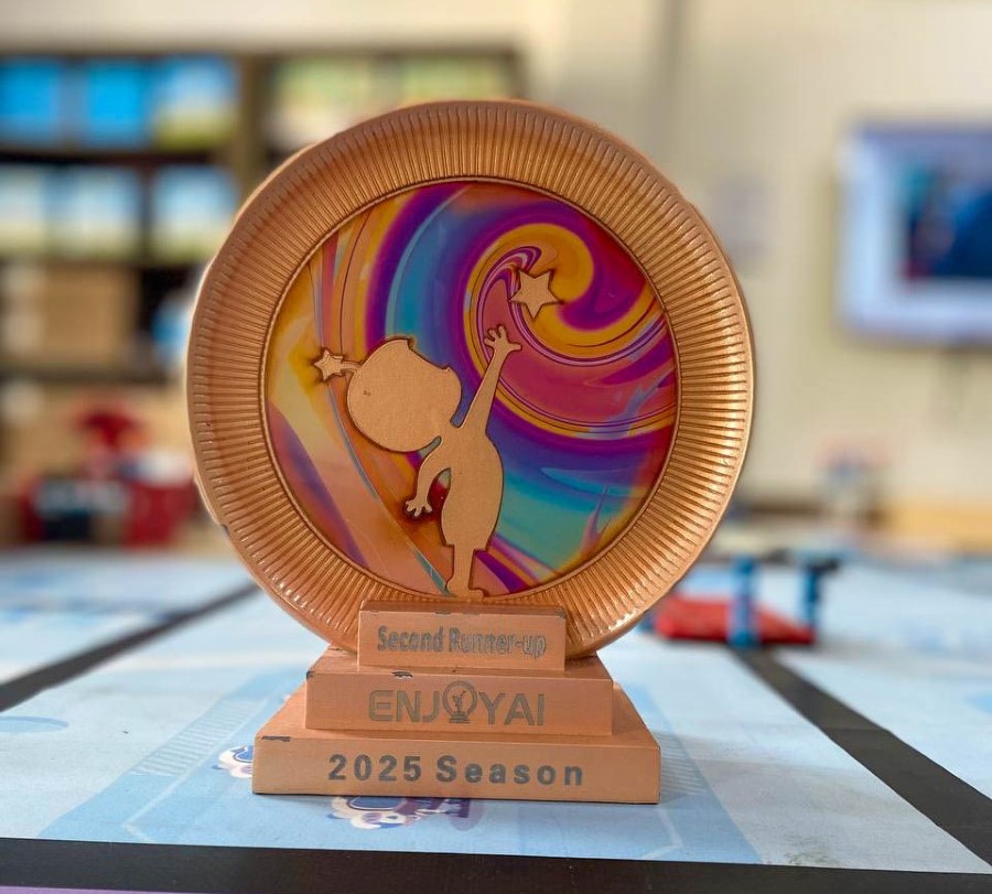 Third Place - Bronze Medal